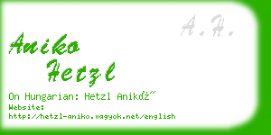 aniko hetzl business card